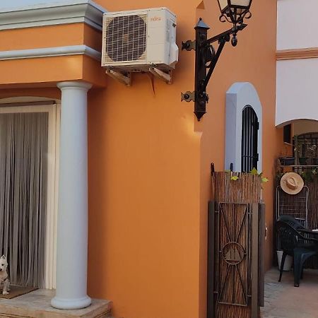 Loft El Pez Blanco Daire El Puerto de Santa María Dış mekan fotoğraf