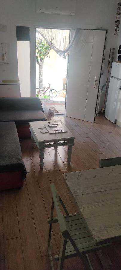Loft El Pez Blanco Daire El Puerto de Santa María Dış mekan fotoğraf